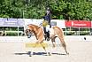Samstag A Dresur