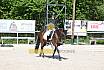 Samstag A Dresur