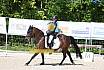 Samstag A Dresur