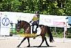 Samstag A Dresur
