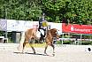 Samstag A Dresur