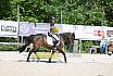 Samstag A Dresur