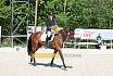 Samstag A Dresur