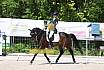 Samstag A Dresur