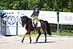 Samstag A Dresur