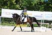 Samstag A Dresur
