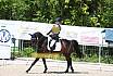 Samstag A Dresur