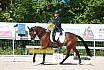 Samstag A Dresur