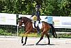 Samstag A Dresur