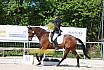 Samstag A Dresur