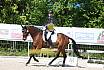 Samstag A Dresur