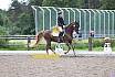 So A Dressur  ein Stern 