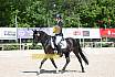 Samstag A Dresur