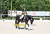 Samstag A Dresur