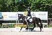 Samstag A Dresur