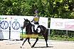 Samstag A Dresur