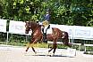 Samstag A Dresur