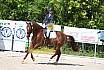 Samstag A Dresur