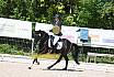 Samstag A Dresur