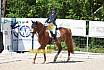 Samstag A Dresur