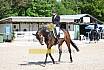 Samstag A Dresur