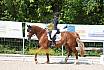 Samstag A Dresur
