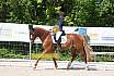 Samstag A Dresur