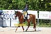 Samstag A Dresur
