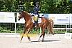 Samstag A Dresur
