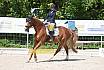 Samstag A Dresur