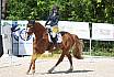 Samstag A Dresur