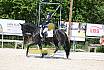 Samstag A Dresur