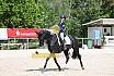 Samstag A Dresur