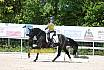 Samstag A Dresur