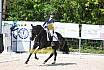 Samstag A Dresur
