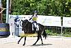 Samstag A Dresur