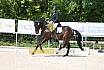 Samstag A Dresur