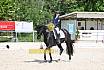 Samstag A Dresur