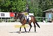 Samstag A Dresur