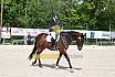 Samstag A Dresur