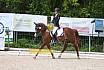 Samstag A Dresur