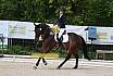 Samstag A Dresur