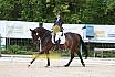 Samstag A Dresur