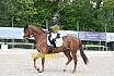 Samstag A Dresur
