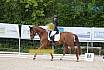 Samstag A Dresur
