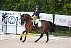 Samstag A Dresur