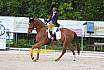 Samstag A Dresur