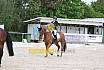 Samstag A Dresur