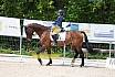 Samstag A Dresur