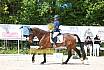 Samstag A Dresur